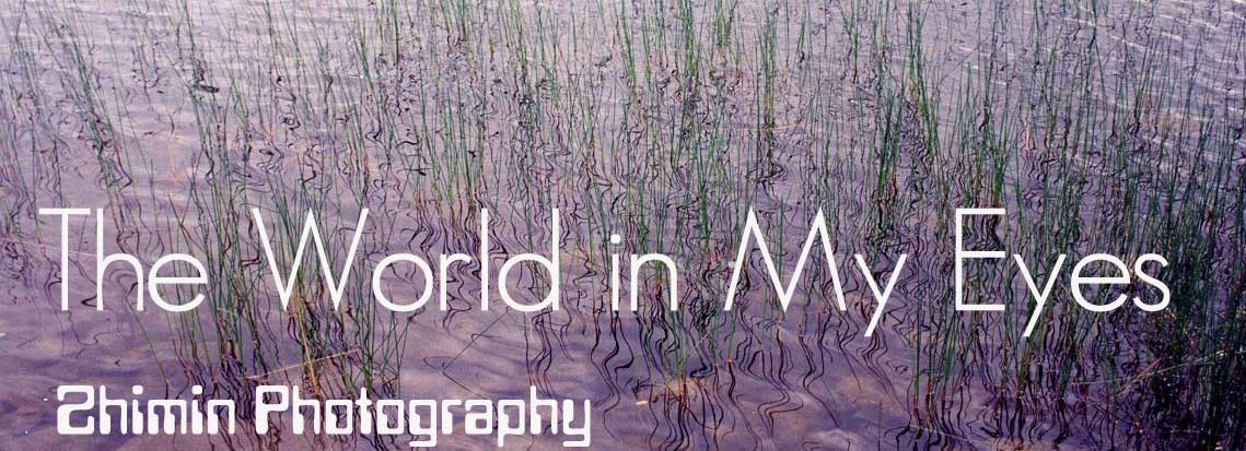 World in zhimin's eyes